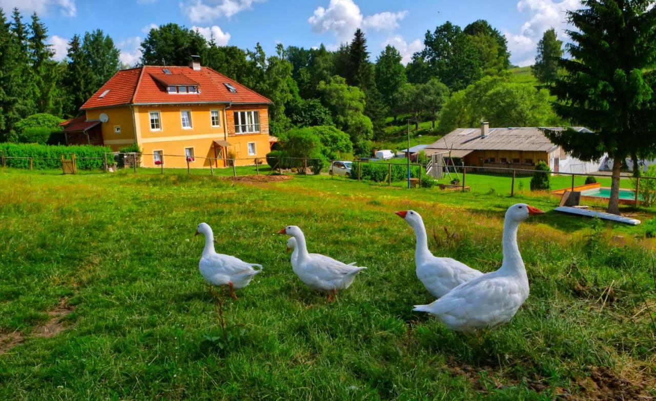 Chalupa Jenin Dolní Dvořiště Esterno foto