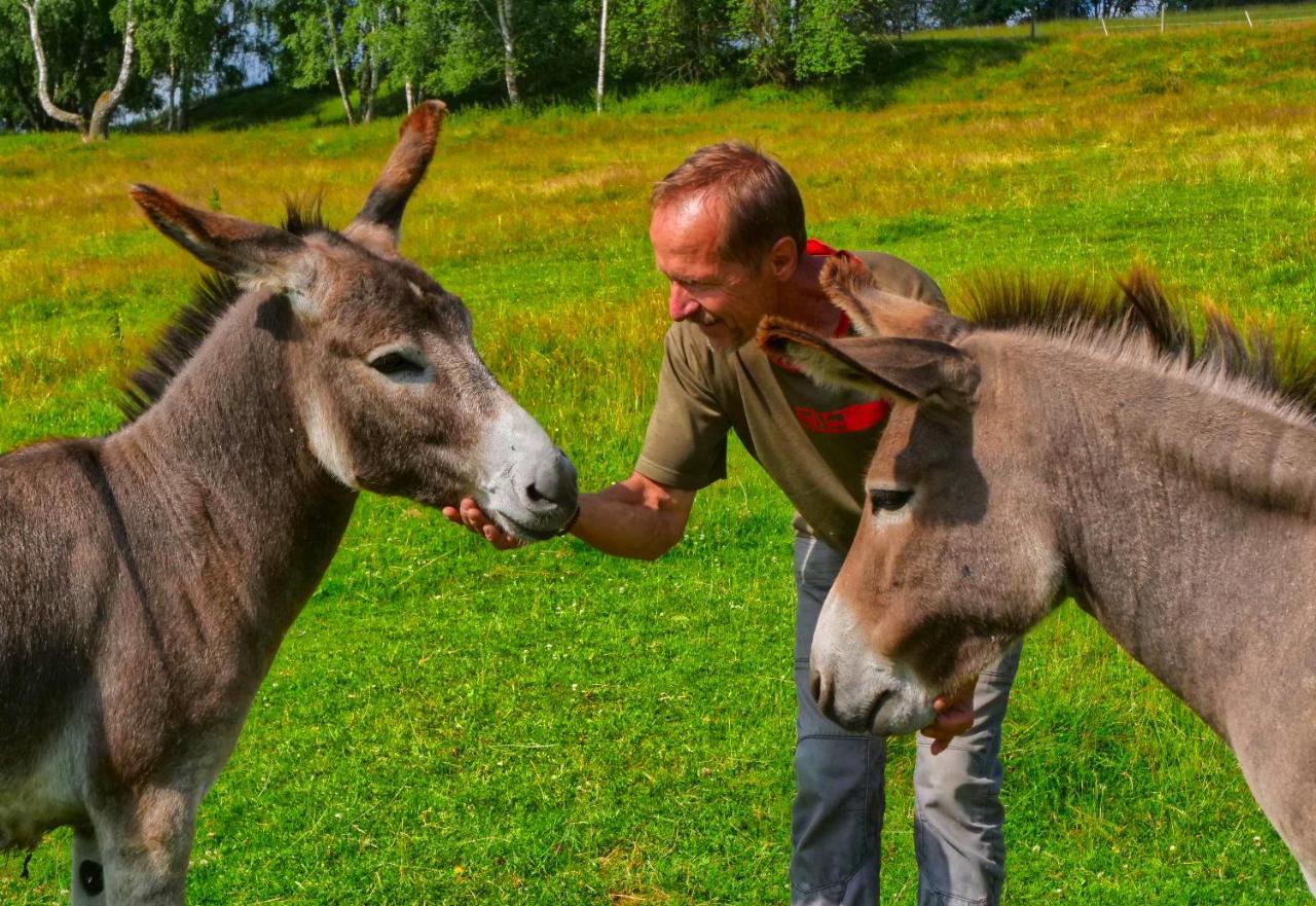 Chalupa Jenin Dolní Dvořiště Esterno foto